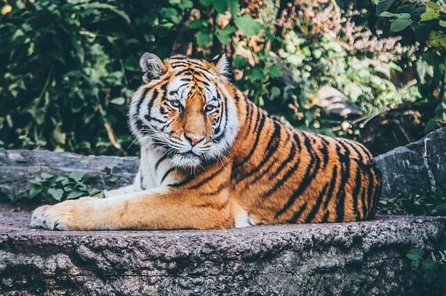 動物園