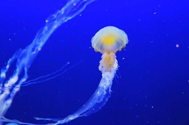 水族館